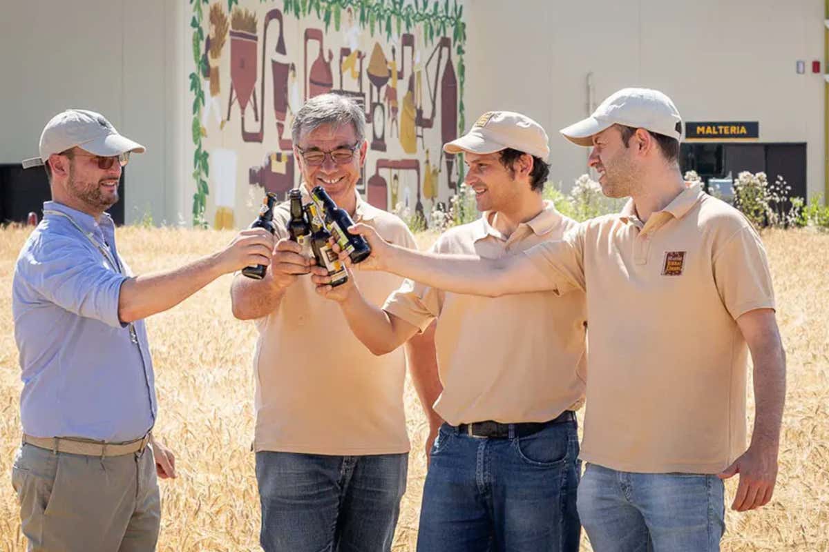 Il miglior malto “Pale” cresce in Umbria: medaglia d'oro alla Malt Cup